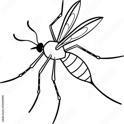 Minimal Mosquito Line Art Vector Illustration on White Background