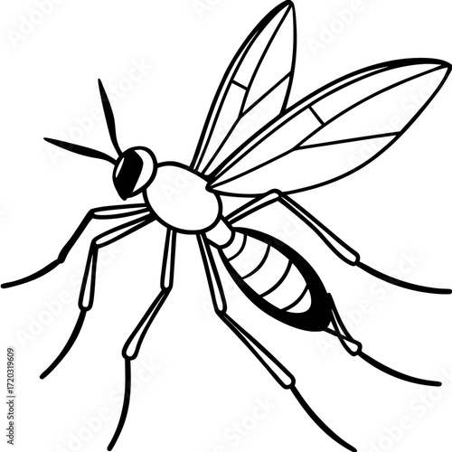 Minimal Mosquito Line Art Vector Illustration on White Background
