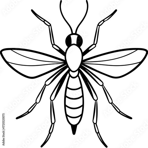 Simple Mosquito Outline Vector Drawing Isolated on White