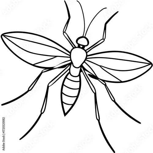 Simple Mosquito Outline Vector Drawing Isolated on White