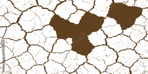 Dry, cracked earth textures reveal the effects of drought on a parched, arid landscape