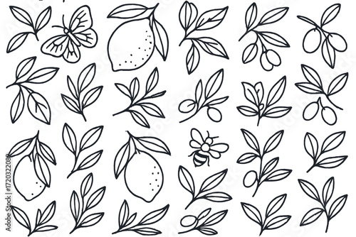 Floral and botanical patterns featuring lemon branches, olive leaves, and butterflies on a white background