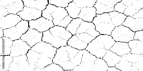 Dry, cracked earth texture from a desert drought landscape