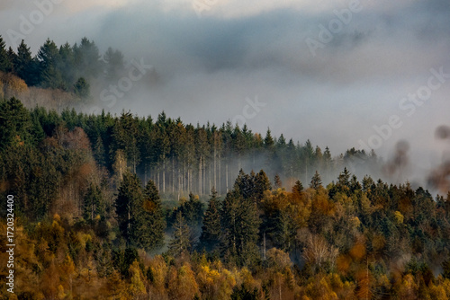Brume sur une forêt aux couleurs de l'automne