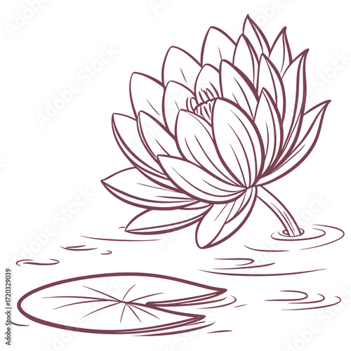 Vector art of elegant line art illustration of a blooming lotus flower with a lily pad floating on the water, the delicate lines capture the serene beauty of the aquatic plant