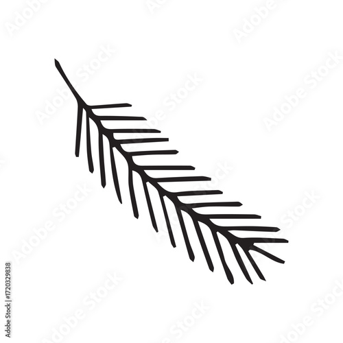 Fir branch in minimalist line art in black and white for seasonal design. Vector hand drawn illustration for postcards, logo, stikers, polygraphy and social media. Not AI