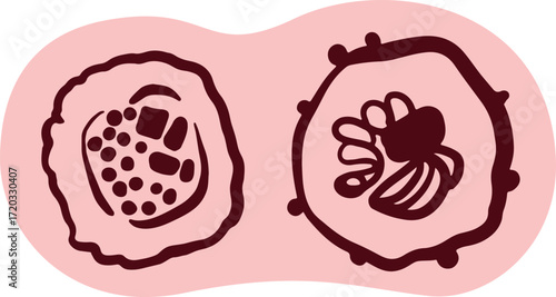 Cute sushi character Japanese cuisine	
