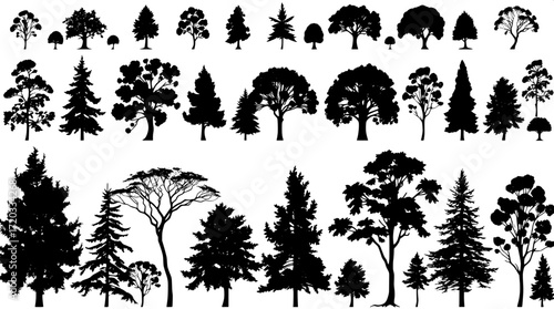 Vector-style illustration of multiple tree species, presented as black silhouettes on a pure white background, with minimal detail and uniform spacing to emphasize the structural variety of foliage, f