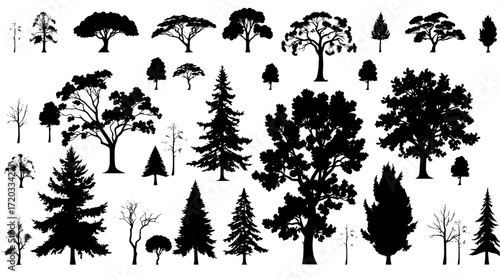 Vector-style illustration of multiple tree species, presented as black silhouettes on a pure white background, with minimal detail and uniform spacing to emphasize the structural variety of foliage, f