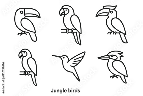 Set of jungle bird line icons featuring toucan parrot hummingbird and hornbill illustrations