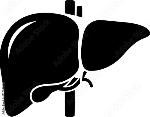 black and white silhouette of a liver, medical illustration, vector