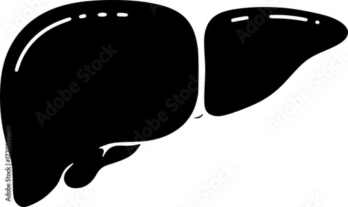 black and white silhouette of a liver, medical illustration, vector