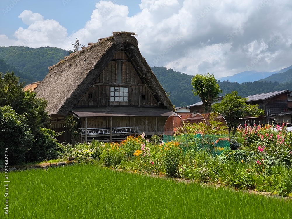 Φωτογραφία The Historic Villages of Shirakawa-Go and Gokayama, travel in Japan
