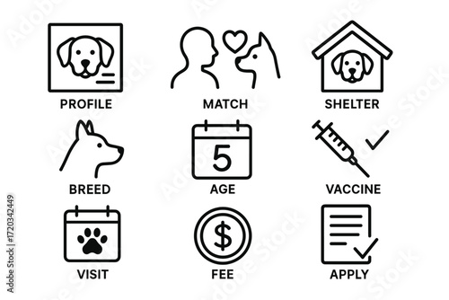 Dog adoption process icons: profile, match, shelter, breed, age, vaccine, visit, fee, apply