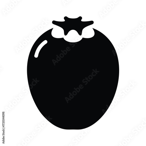 Isolated persimmon fruit vector illustration, healthy food, organic fruit, autumn harvest icon