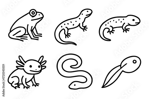 Black and white amphibian and reptile illustrations: frog, lizards, axolotl, snake, tadpole