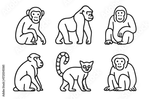 Line art of various primates including monkeys, gorillas, and lemurs