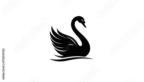 Fototapeta Naklejka Na Ścianę i Meble -  Black swan silhouette on white background