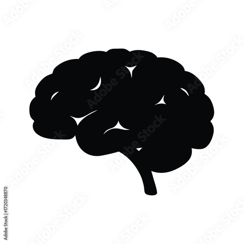 Human brain anatomy illustration for medical education and neuroscience research study guide