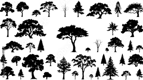 Graphic catalog of world tree species, displayed as crisp black silhouettes on a pure white background, with a clean, minimalist aesthetic, vector-inspired lines, and a grid organization that ensures 