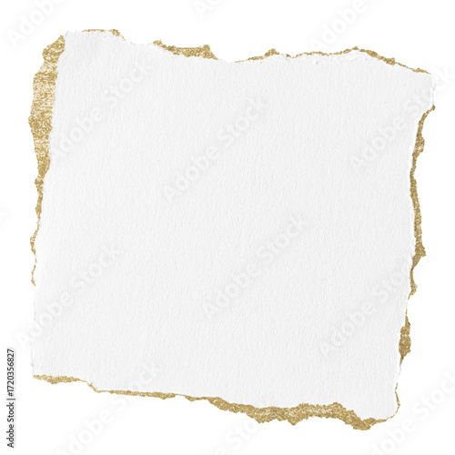 White ripped paper png on transparent background © Rawpixel.com