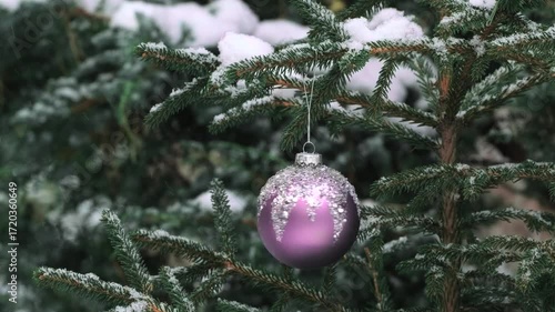 Christmas Tree Branch with Purple Glitter Ornament Bauble Rotating in Winter Snowfall. Holiday Decoration Festive Seasonal Background. Christmas Ball on the Pine Tree in the Snowy Forest Outdoor