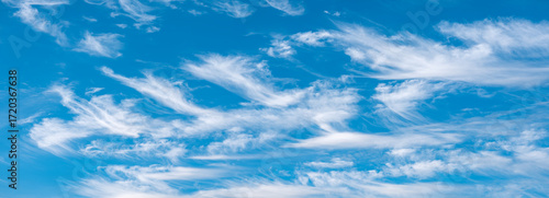 Panoramic background of perfect blue sky with beautiful white cirrus clouds