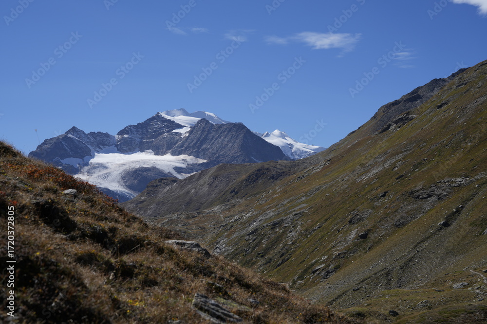 Obraz premium BERNINA