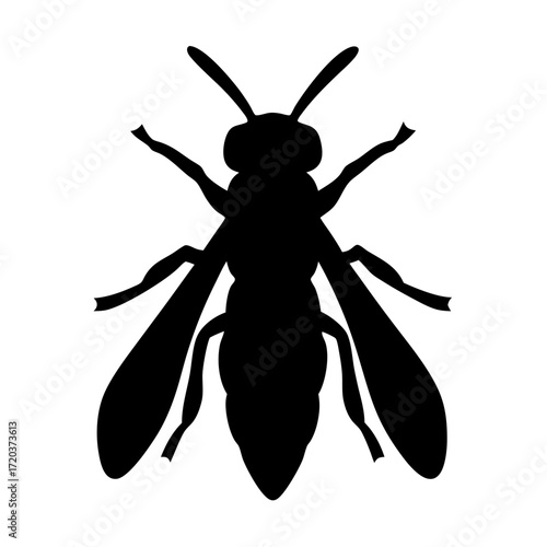 Isolated wasp vector silhouette illustration for graphic design and insect identification projects