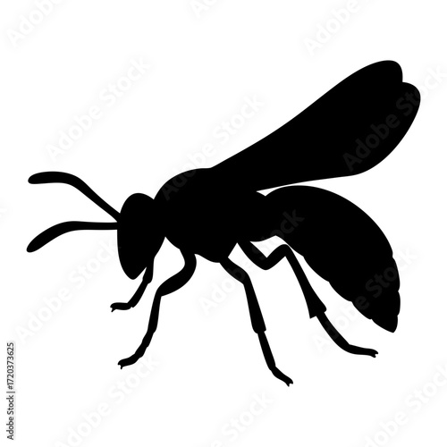 Isolated vector silhouette of a wasp insect flying stinging pest control clip art illustration