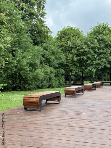 Modern wooden benches on wooden deck in city park with green trees after rain, urban public space design and outdoor relaxation area  
