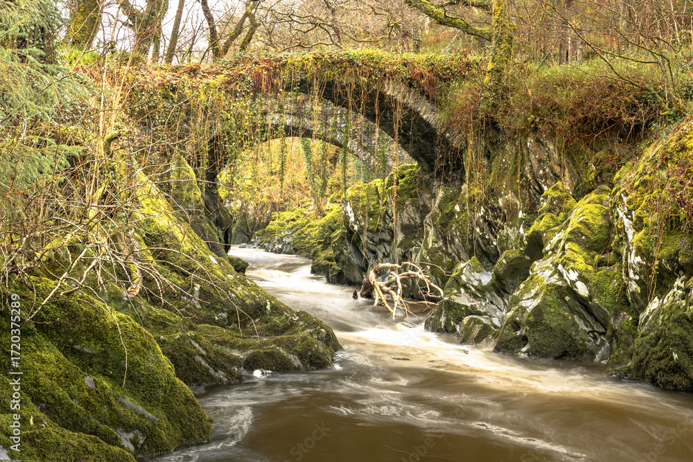 Fototapeta premium old bridge over the river
