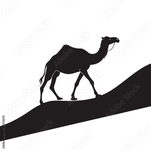 Camel walking along ridgeline silhouette