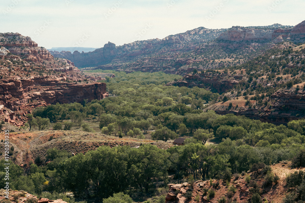 Obraz premium A vibrant green valley nestled between rugged cliffs in a desert region vista.
