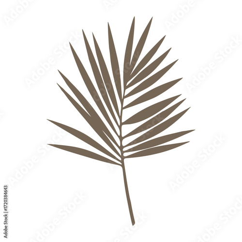 vector pine cone isolated on white background