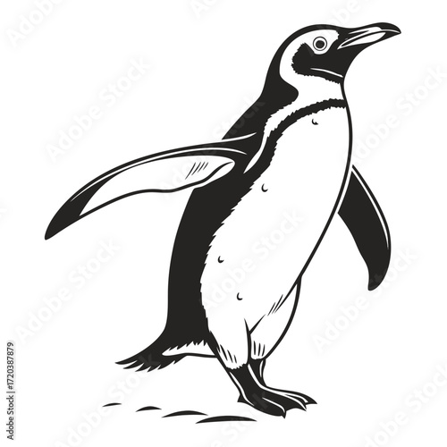 Penguin flapping wings on ice silhouette