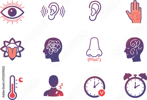Human Senses Icons: Vector Illustration