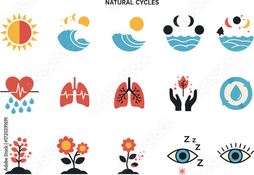 Natural Cycles Icons: Flat Vector Set