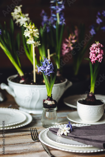 Floral cozy home decor for Easter holiday celebration. Fresh blooming spring hyacinth flowers. Beautiful house interior design, seasonal decoration