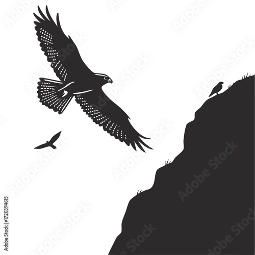 Falcon circling above cliff silhouette