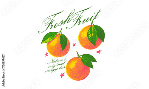 Vintage illustration of three fresh oranges. Retro fruit artwork with Natures original energy bar quote for t shirt print