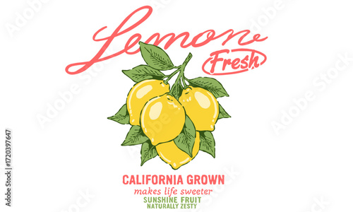 Vintage illustration of a fresh lemon branch. Retro California Grown artwork for juice brand, t shirt print, poster