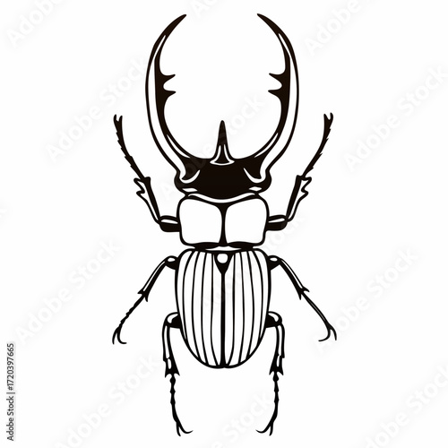 Mist fang beetle silhouette on white background