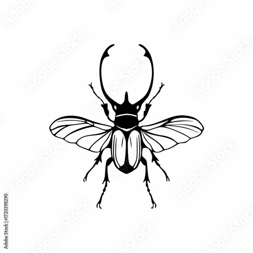 Moon veil beetle silhouette on white background