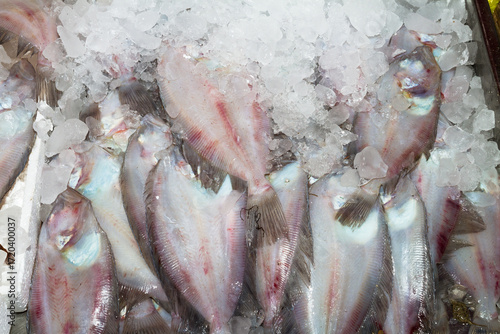 Fresh from the ocean plaice fish catch on ice, displayed for sale at a local fish market stand on Crete.