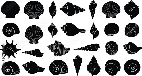 Seashell silhouettes grid, marine shell collection, ocean mollusk illustration, beach nature pattern, spiral conch design, coastal decorative art, nautical elements