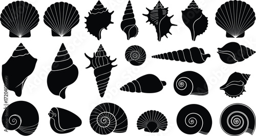 Seashell silhouettes set, marine shell collection, ocean mollusk illustration, beach nature pattern, spiral conch design, coastal decorative art, nautical elements