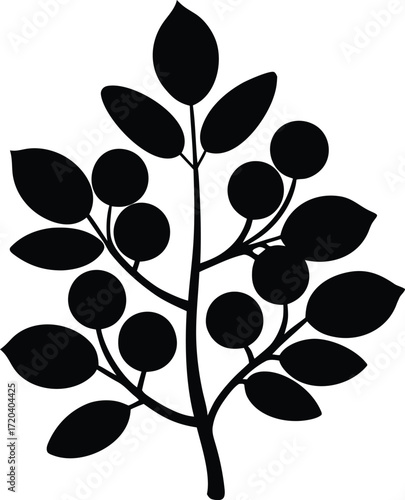 Chickpea Plant Silhouette | Farm Crop Botanical Vector