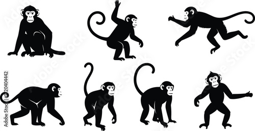 monkey, primate, animal, silhouette, sit, walk, stand, reach, interact, icon, vector, illustration, black, white, jungle, anatomy, behavior, wildlife, tail, design