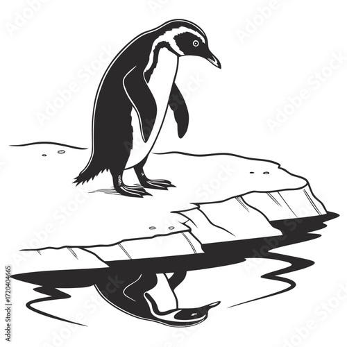 Penguin looking at reflection in ice silhouette